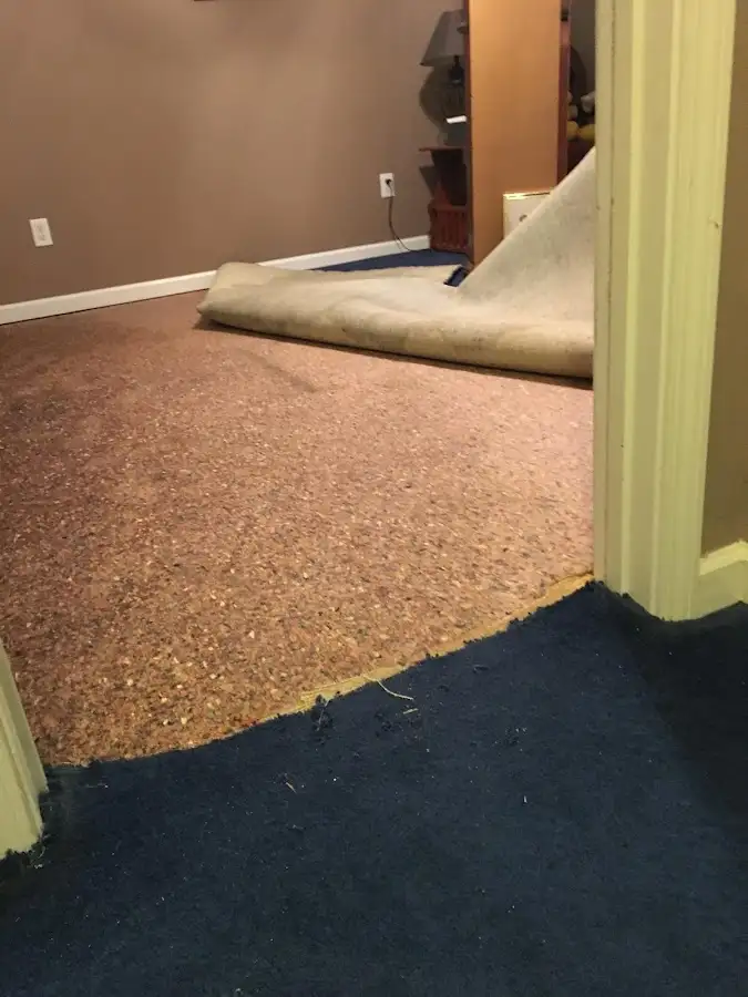 Carpet pad removal revealing water damage during Water Mitigation Services in Dickinson