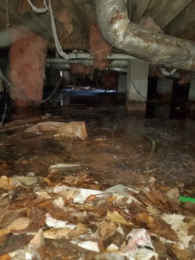 Crawl space flood assessment for Commercial Water Damage Restoration in Dickinson